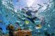 Маска для плавання Subea Easybreath PRO 500 панорамна повнолицьова для снорклінгу підводного пірнання на все обличчя з трубкою Синя, M/L